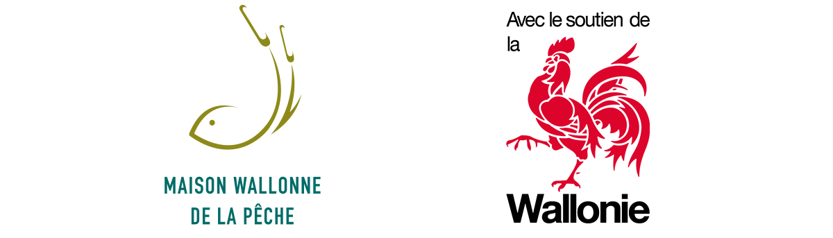 Logos MPW et Wallonie